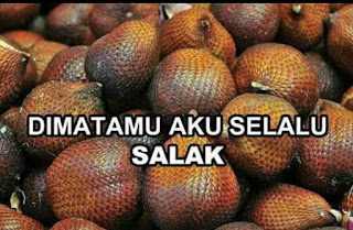 Meme plesetan benda yang dijamin ngakaknya Meme plesetan benda yang dijamin ngakaknya