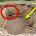 This Guy Digs A Massive Hole In His Backyard. What He Discovered In The Hole Will Make Everyone Jealous!