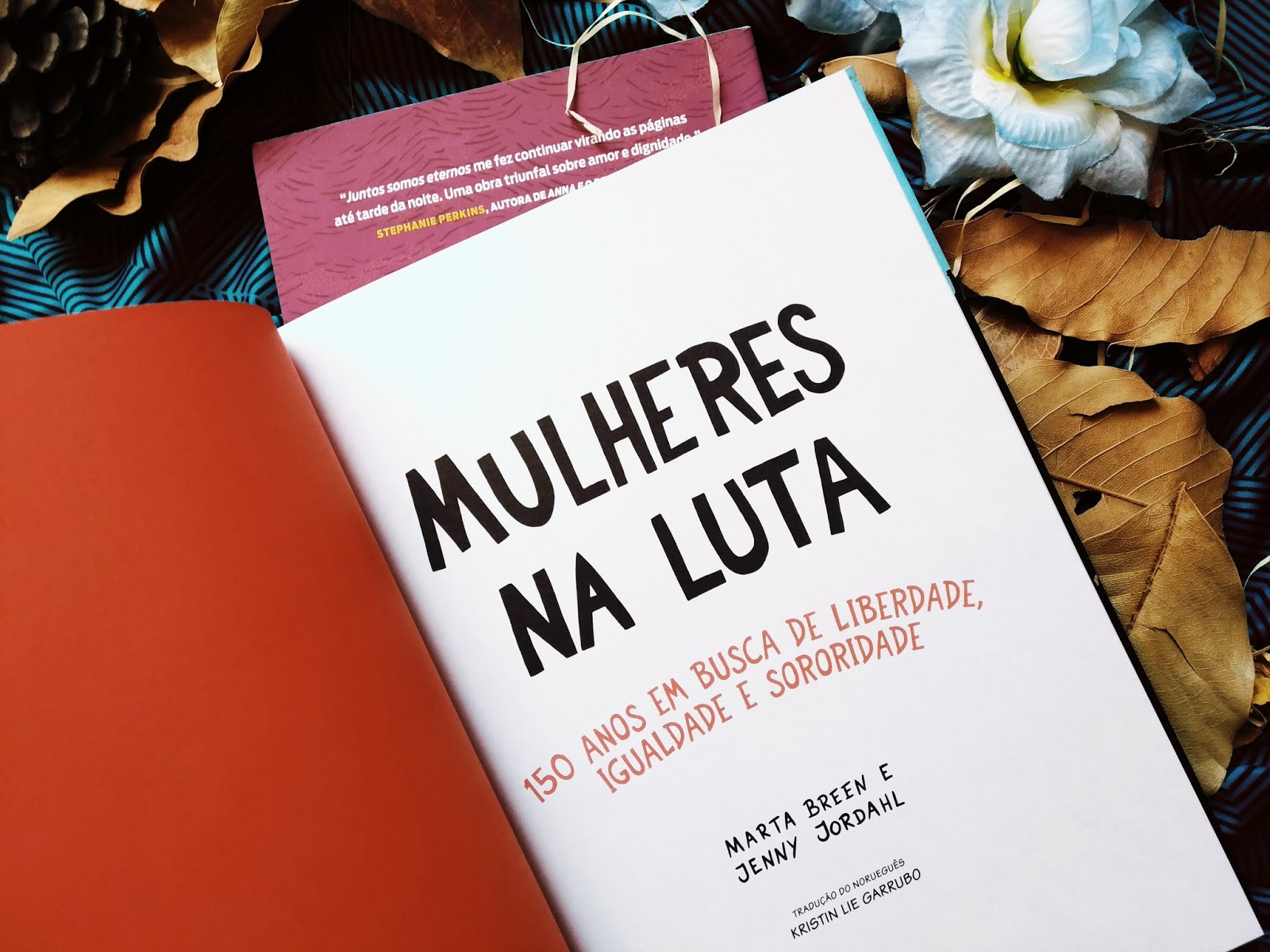 DICA DE LEITURA: MULHERES NA LUTA - MARTA BREEN E JENNY JORDAHL LIVRO: MULHERES NA LUTA - MARTA BREEN E JENNY JORDAHL