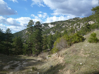 Cerro San Felipe Cerro San Felipe