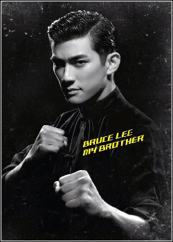 Bruce Lee, Meu Irmão Dublado