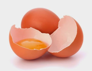 Putih telur mempunyai fungsi sebagai
