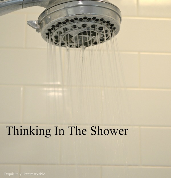 Thinking In The Shower