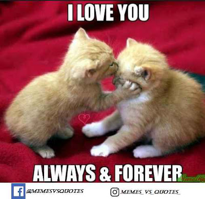 Best I love you meme / Love Meme Always and forever