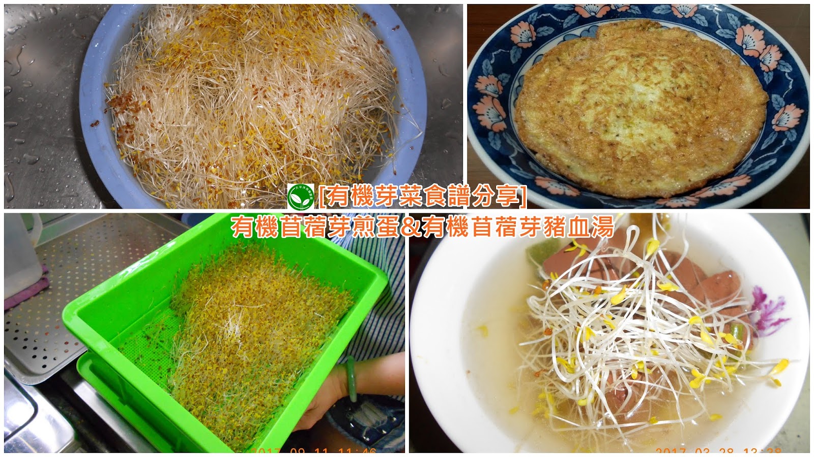 苜蓿芽要洗嗎,紅花苜蓿,紫花苜蓿葉,苜蓿,紫花苜蓿草,苜蓿芽料理,苜蓿芽熱量,苜蓿草種植,苜蓿草,苜蓿芽