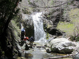 Cooper Canyon Falls, Angeles National Forest