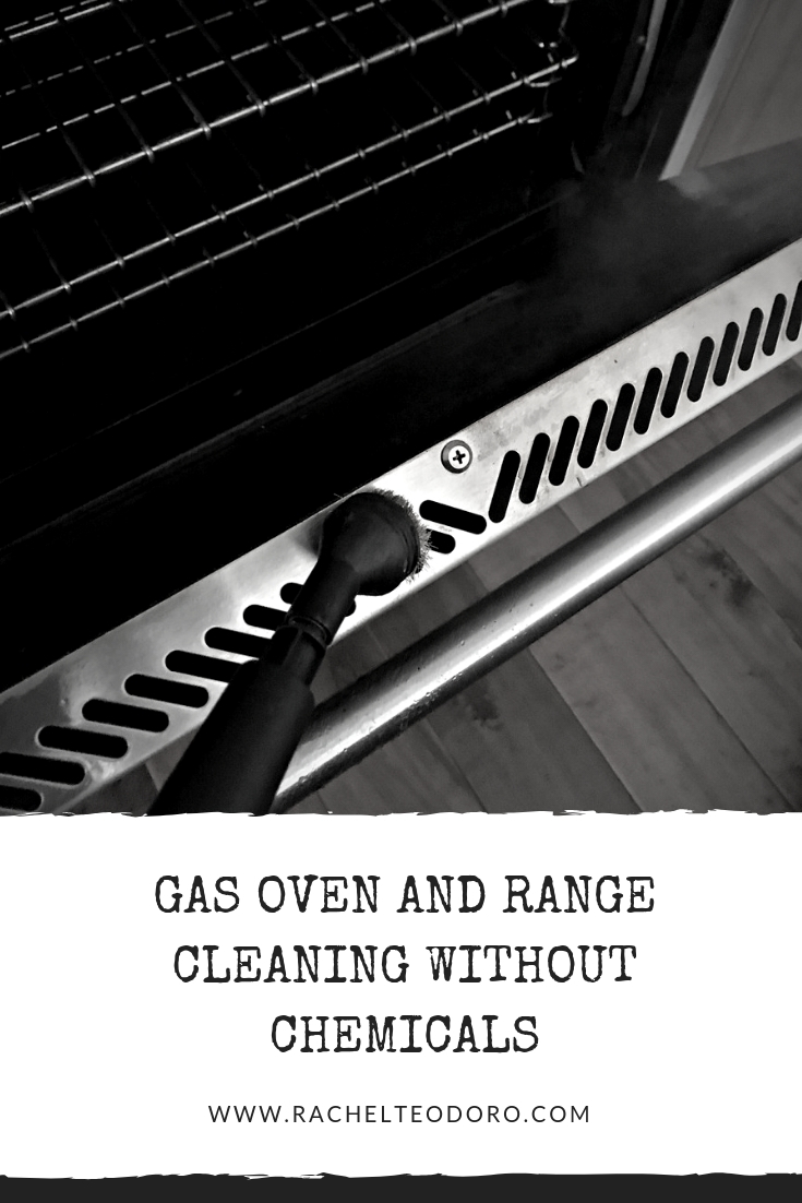Clean Your Gas Range and Oven Without Chemicals