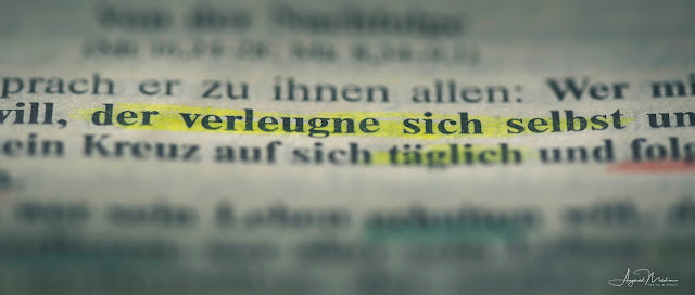 Schlechterwisser Vii.: Kreuz An Revier Braun’sche Untertagebauwerk T-Bone Schlechterwisser Vii.: Kreuz An Revier Braun’sche Untertagebauwerk T-Bone