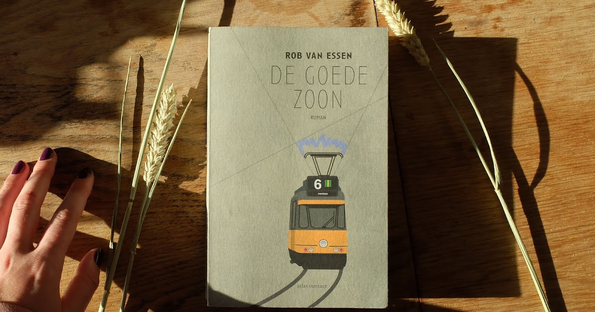 Recensie De goede zoon van Rob van Essen