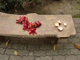 Red silk-cotton (Bombax ceiba, kapot) flowers and tangerine peel on a park bench