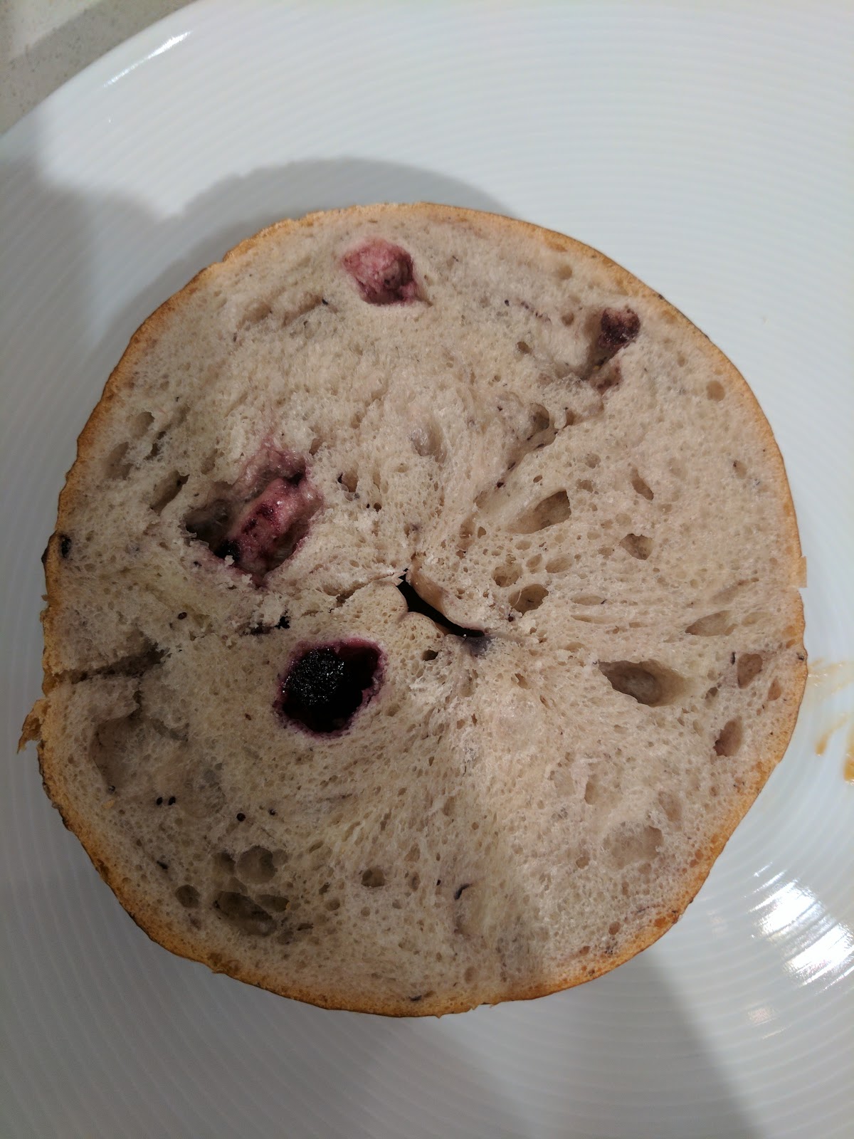 Panera Bread Bagels Types IUCN Water