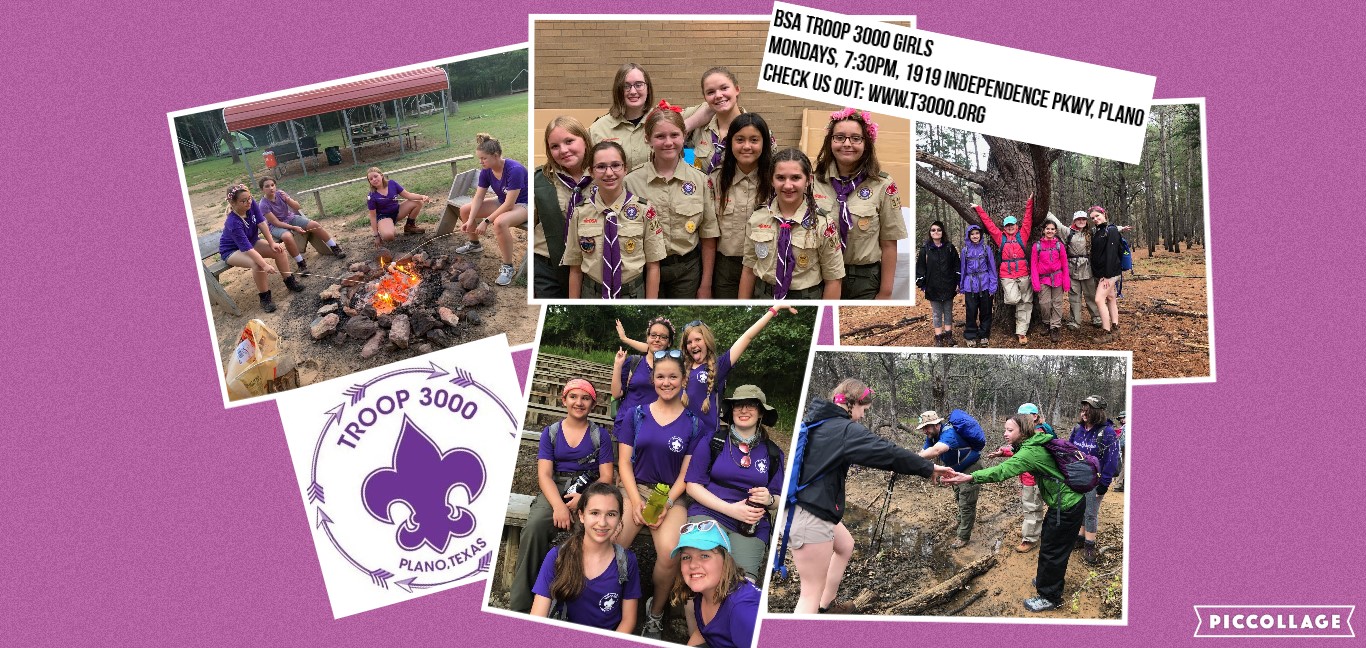 Join Troop 3000!