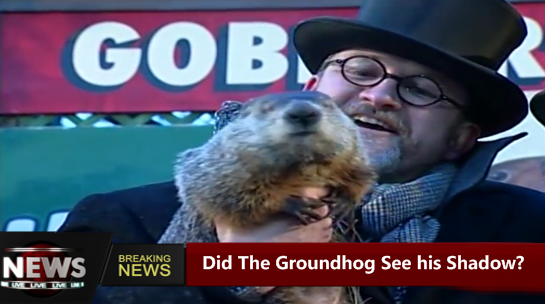 Did The Groundhog See His Shadow Today in 2019 [Results]