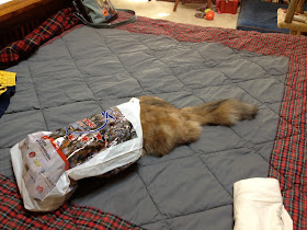 It's true: They love bags