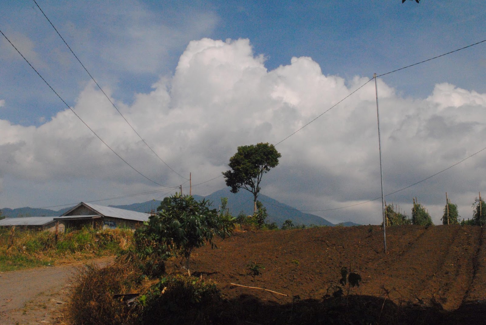 Menikmati keindahan Gunung Sibuaten, Puncak tertinggi Sumatera Utara