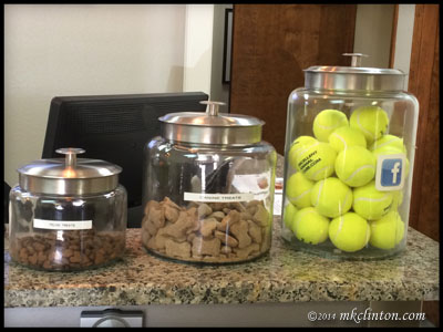 Jars of cat treats, dog treats and tennis balls