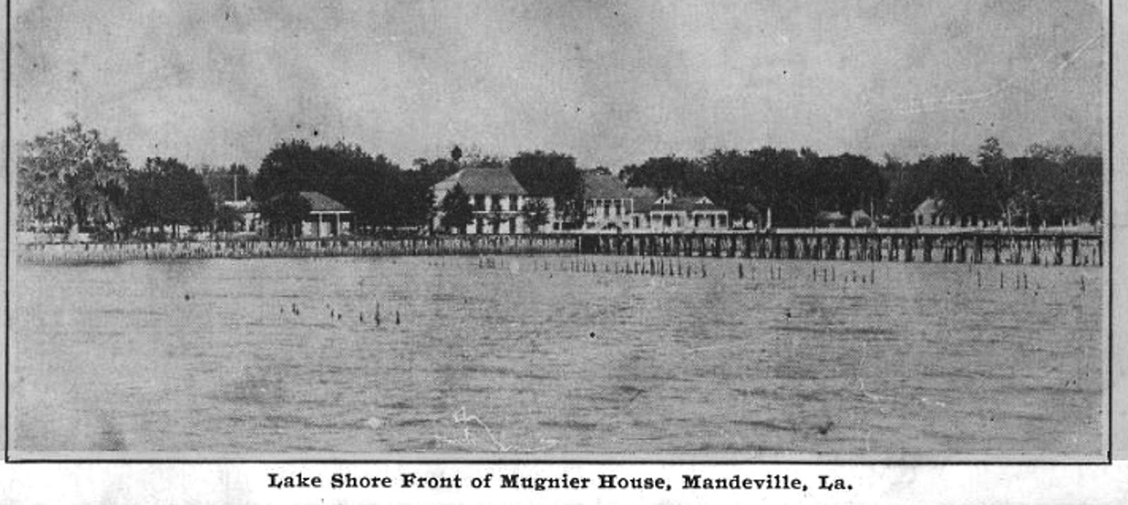 Tammany Family Postcards Showing View of Mandeville Lakefront