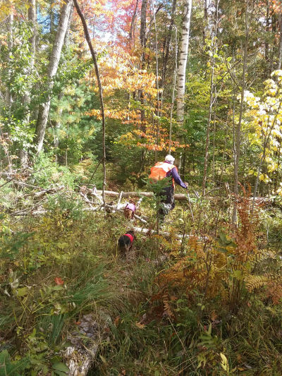 bushwhacking