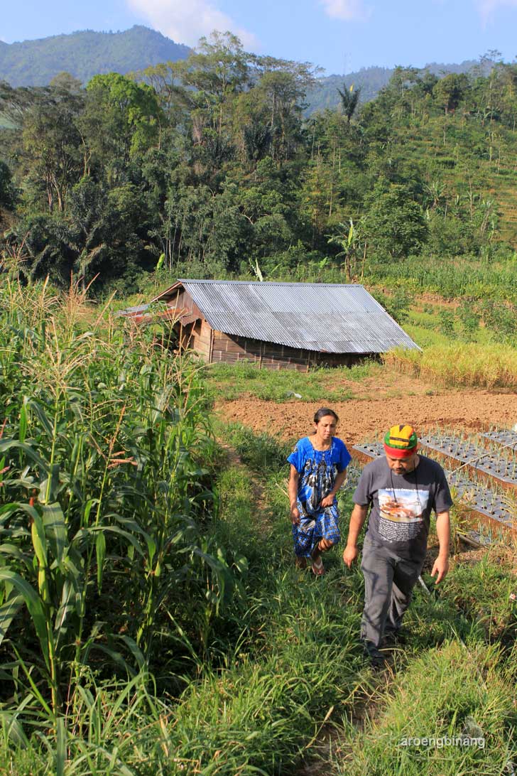 situs lingga yoni petungkriyono pekalongan