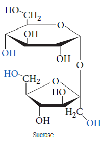 ENVIRONMENT INSIGHT: TASTE—IT’S THE STRUCTURE THAT COUNTS