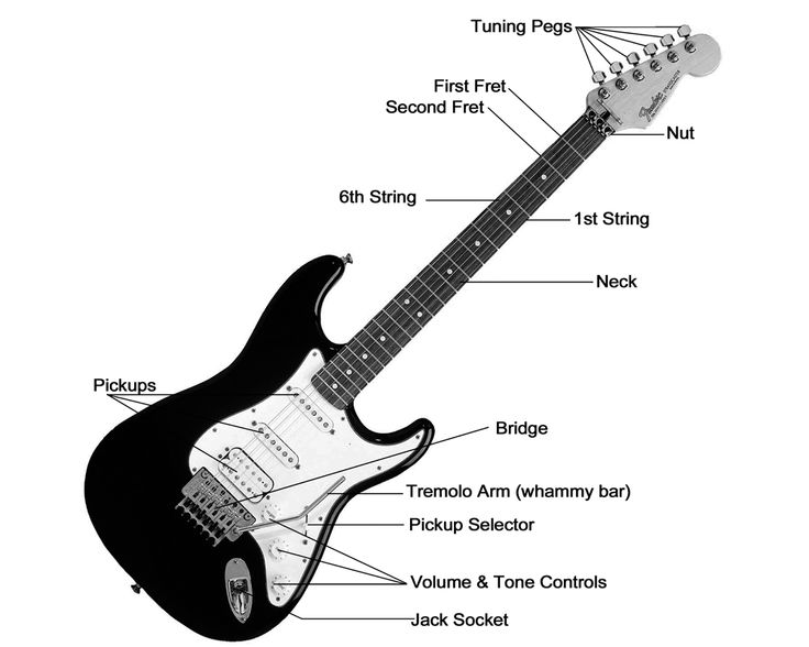 Learning parts of the guitar