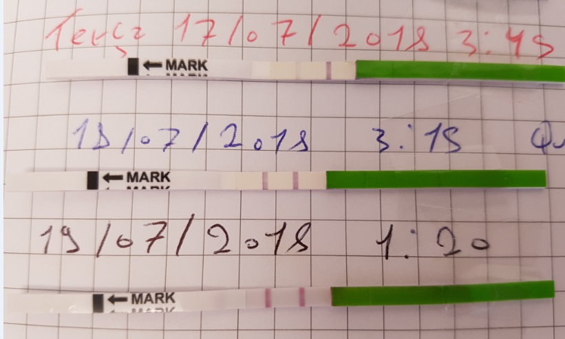 teste de ovulacao positivo 2 dias teste de ovulacao positivo 2 dias