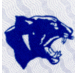Franklin High School Panthers
