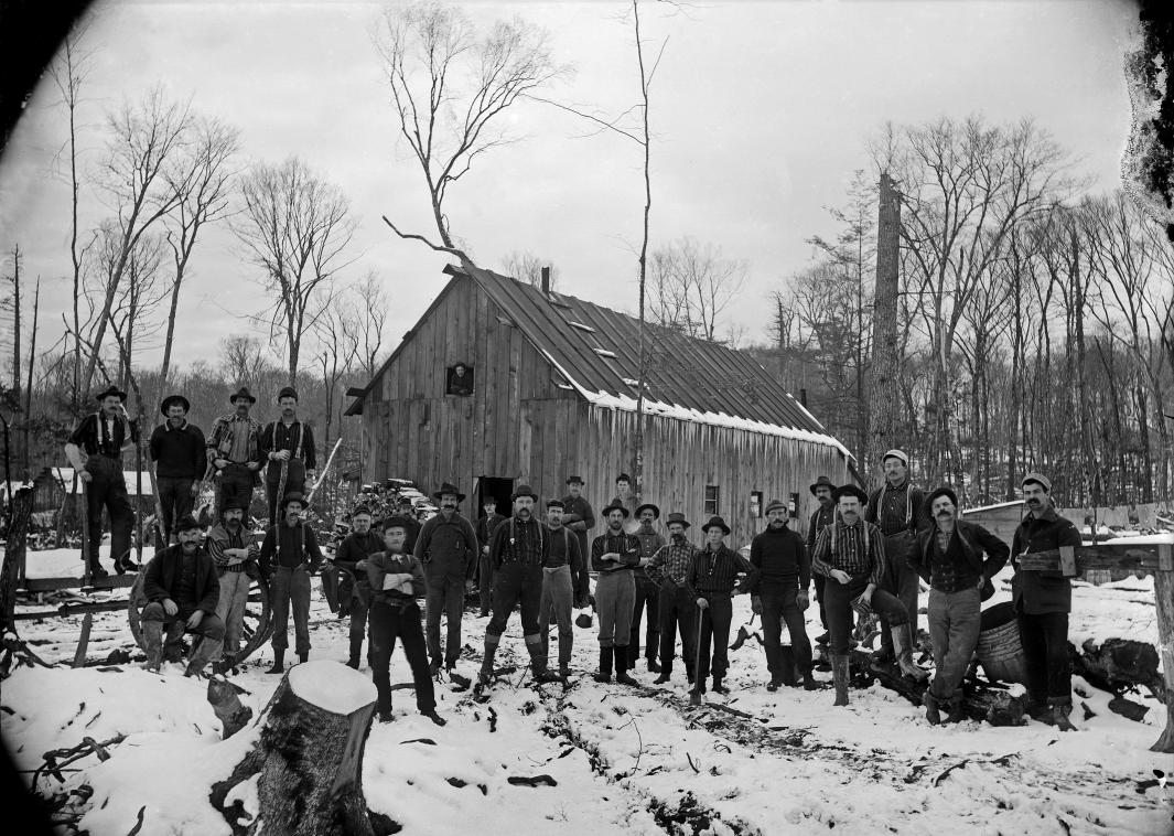 Fair Use Late 19th Century Lumber Camps From Western Pennsylvania