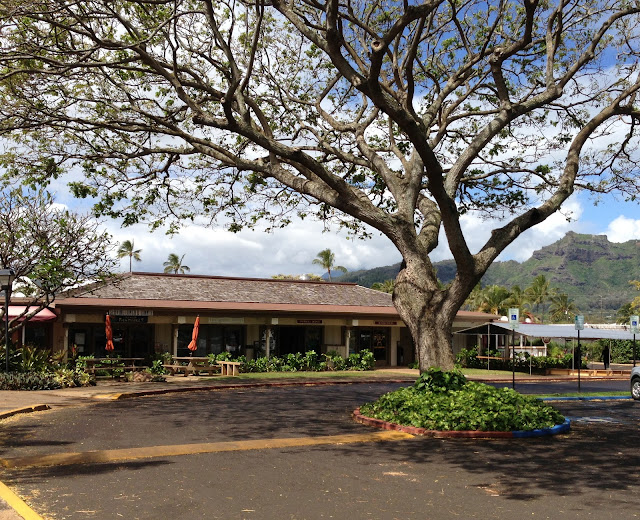 GREAT EATS HAWAII KILAUEA FISH MARKET KAPAA, KAUAI