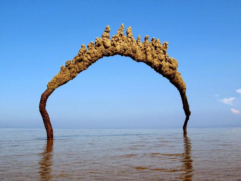 Striking Sea Sandcastles