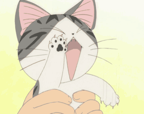 tumblr_lnu5j8srOX1qk92x2o1_500.gif