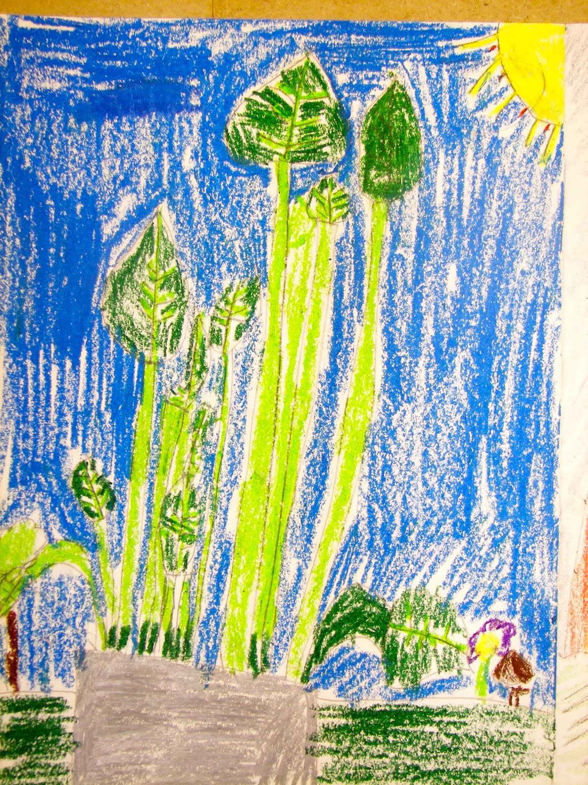 Organized Chaos 1st Grade Still Life Plants