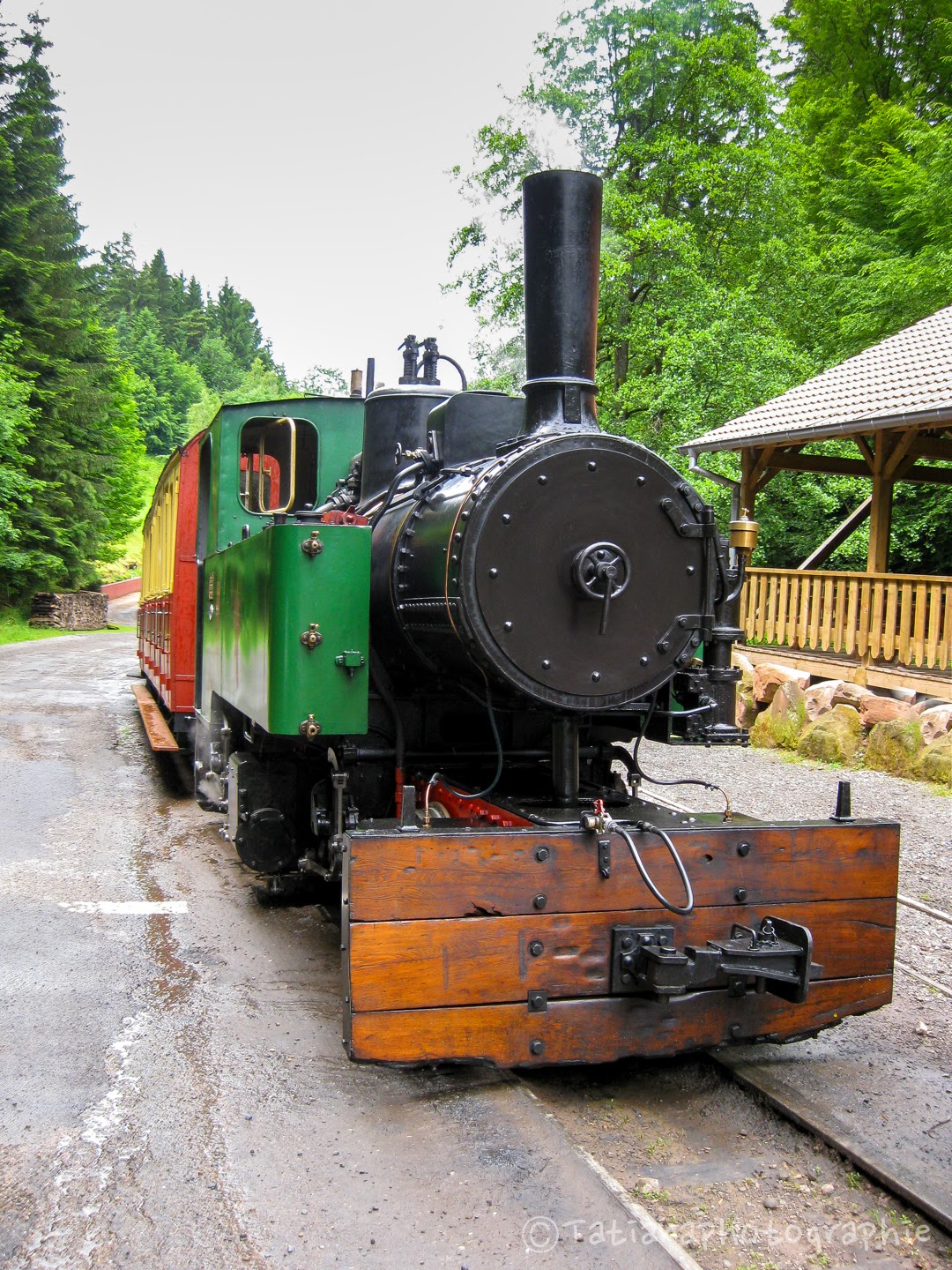 MES P'TITS BONHEURS LE PETIT TRAIN FORESTIER D'ABRESCHVILLER MES P'TITS BONHEURS LE PETIT TRAIN FORESTIER D'ABRESCHVILLER