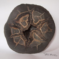 collection of stones and fossils коллекÑÐ¸Ñ ÐºÐ°Ð¼Ð½ÐµÐ¹ и окаменелоÑÑей