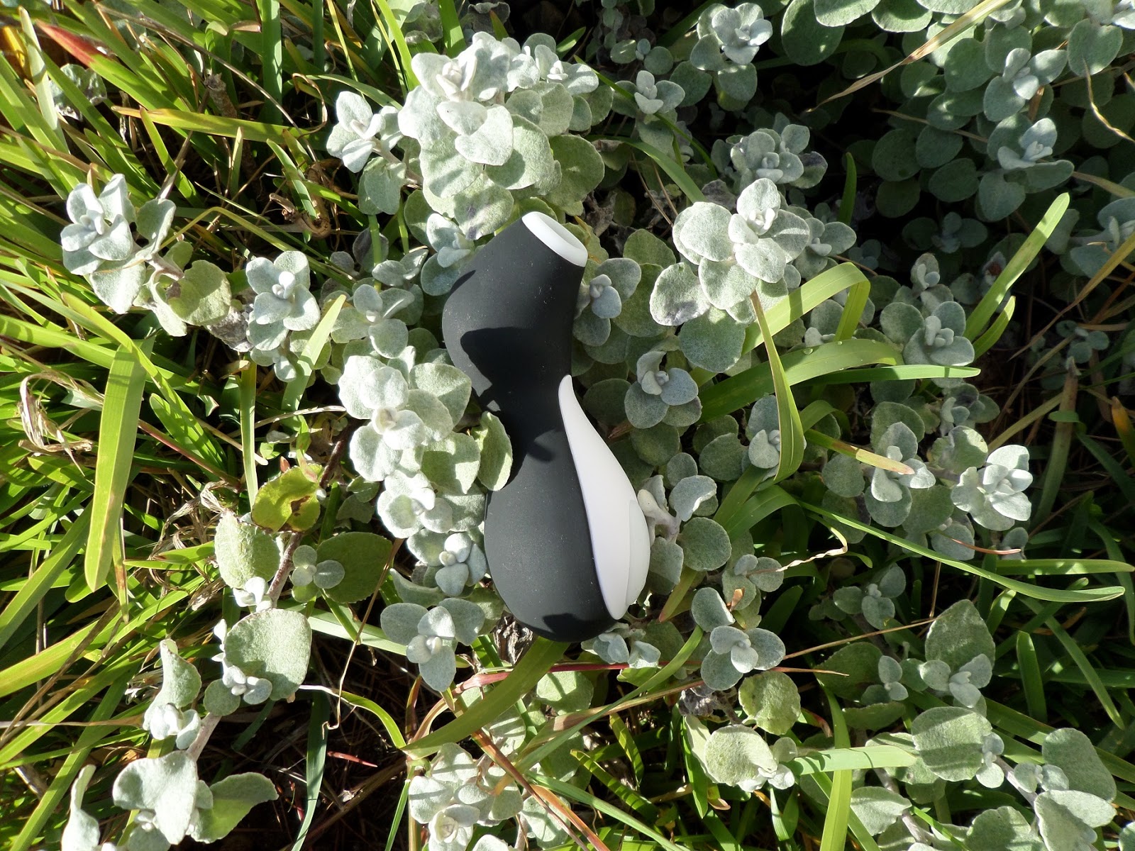 Массажер клитора satisfyer pro penguin ng. Сатисфаер лого. Satisfyer пингвин. Тайная жизнь пингвинов хамамото. Penguin next gen.