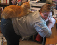 Orange cat perched on author's back, with author bent over at hips with short hair, glasses, grey long sleeved shirt, and jeans, leaning on desk