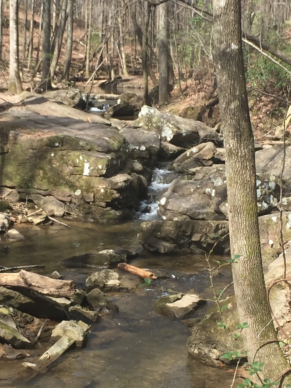 The Ultimate Alabama Waterfall Road Trip Tami's Trippin'