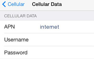 iinet APN Settings for iPad and iPhone :