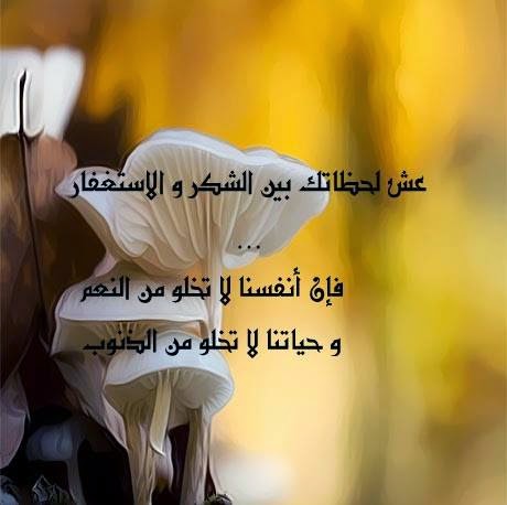 إنما الأمم أخلاق صور دينية صور معبرة صورة مكتوب عليها حكم