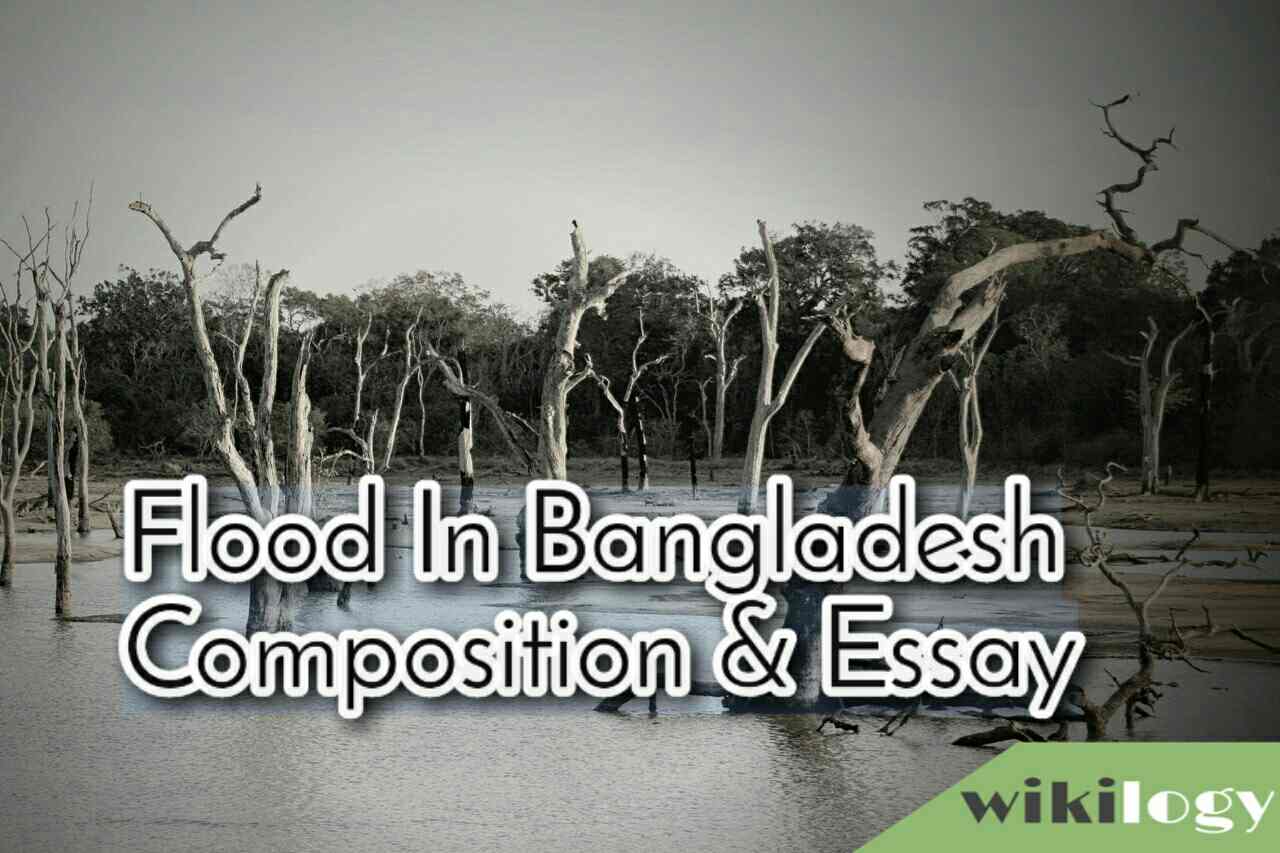 Flood in Bangladesh Composition & Essay/ The Recent Flood