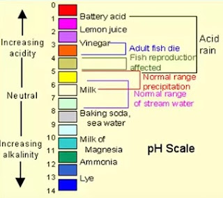 pH of different liquids