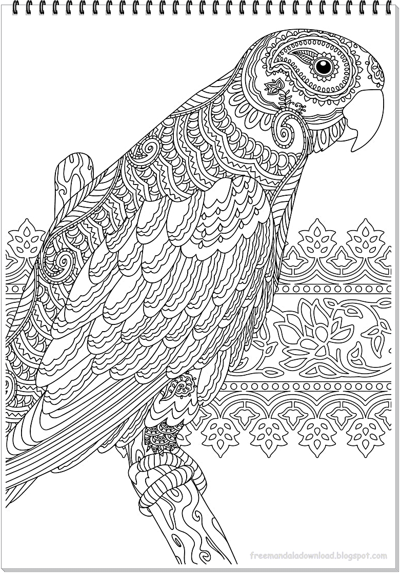 papagei mandala ausmalbilder zum ausdruckenparrot mandala