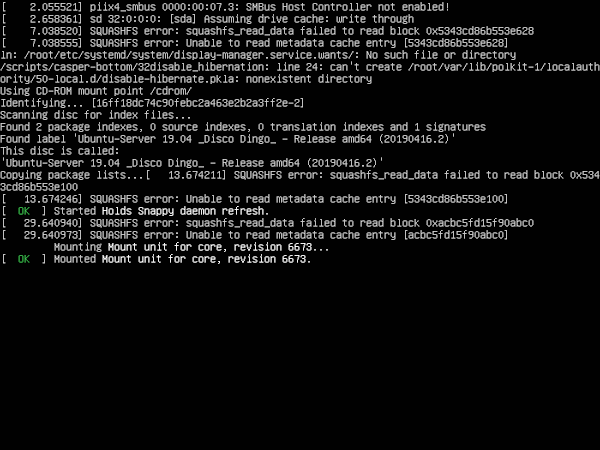 02-ubuntu-server-19-loading-installer