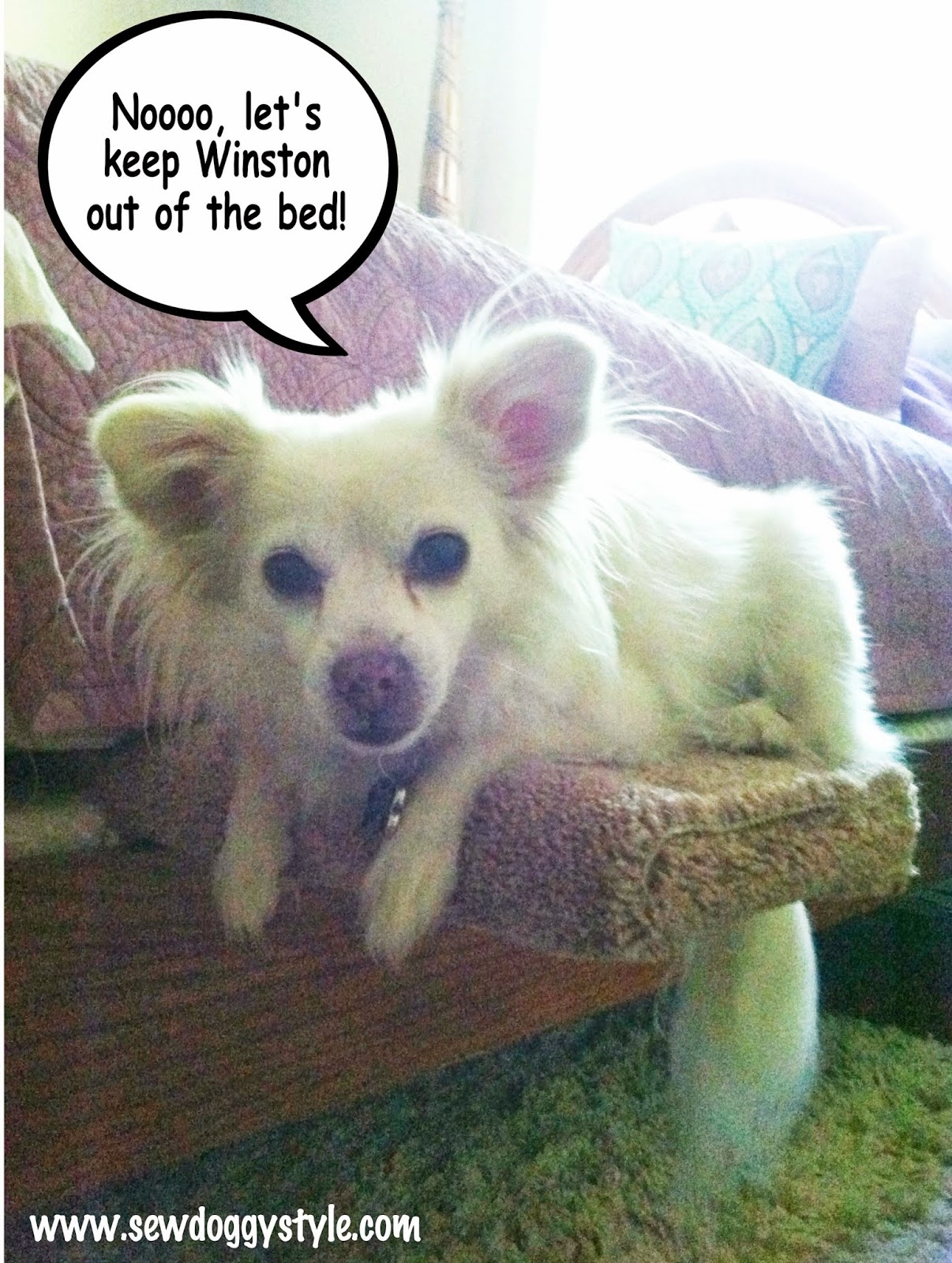 Sew DoggyStyle Easy DIY Dog Step