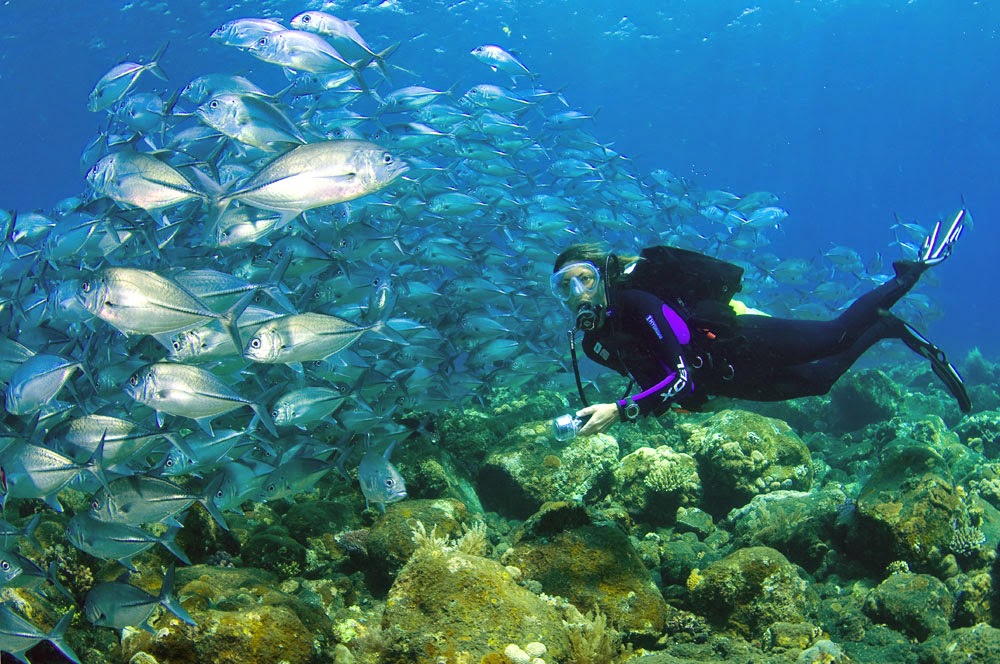 tulamben bali -inilah 5 Wisata Bawah Laut Indonesia Terpopuler yang harus Anda kunjungi.