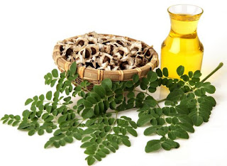 Beneficios del Aceite de Moringa aceite-de-moringa-beneficios-para-la-piel