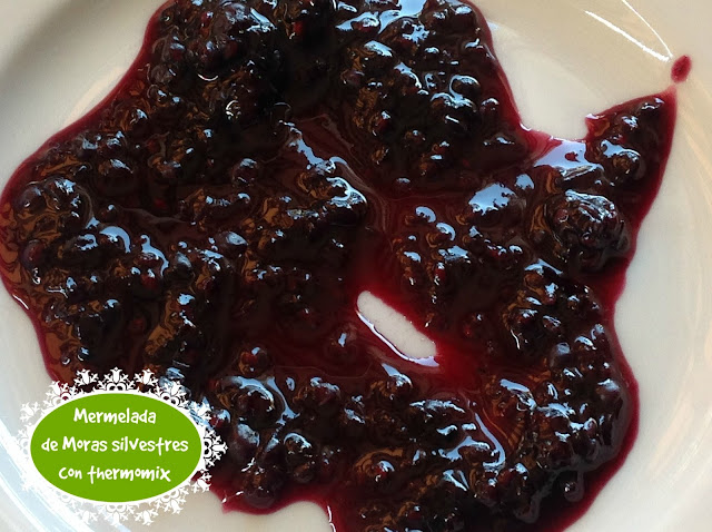 MORAS SILVESTRES CON THERMOMIX CASERA Y MUY RICA