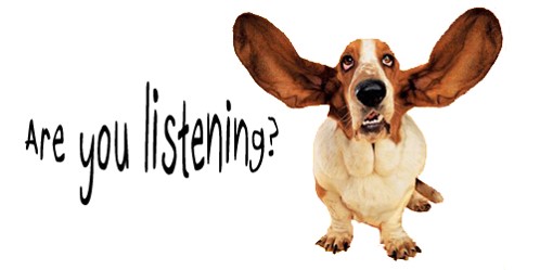 Learning To Listen Dog Training Video Learning To Listen Dog Training Video