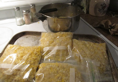 Just put the corn in plastic freezer bags ready to be frozen-Vickie's Kitchen and Garden