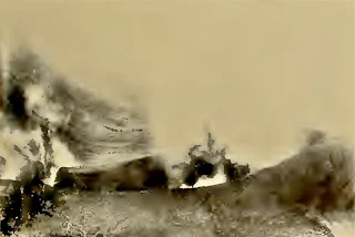 Another phase of the eruption of July 5, 1904.  This eruption was characterized by the large amount of mud ejected causing, at its height, a violent mud shower.